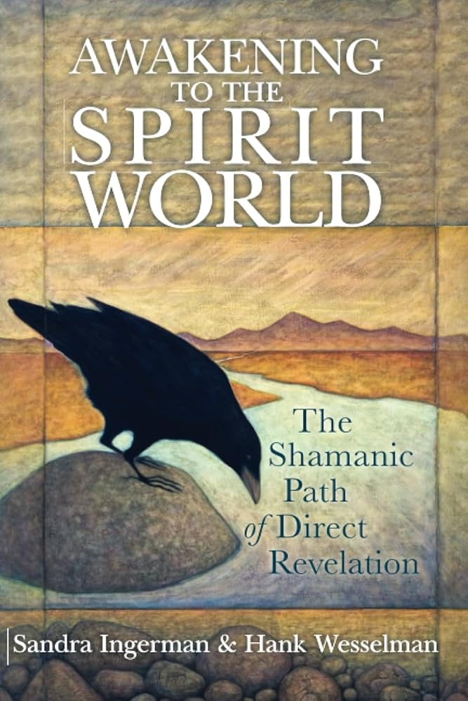 洋書 The SPIRIT of SHAMANISM The Spirit Of Shamanism by Roger Walsh | Goodreads